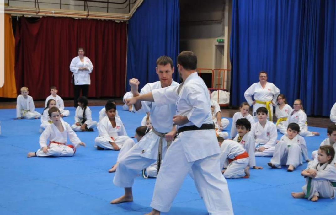 Weekly Online karate classes 24/01/2021 Ippon Karate Academy